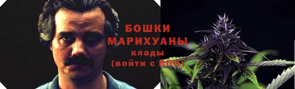 ПСИЛОЦИБИНОВЫЕ ГРИБЫ Алексеевка