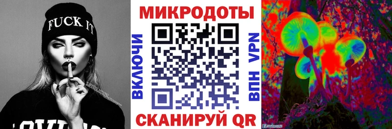 мега как войти  Сунжа  Псилоцибиновые грибы мицелий 