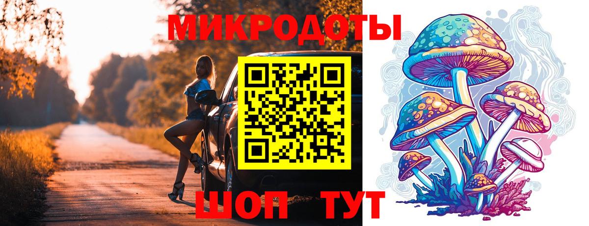 Псилоцибиновые грибы Psilocybe  сколько стоит  Псилоцибиновые грибы Cubensis  Сунжа  Вход с VPN 
