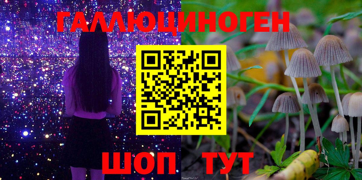Псилоцибиновые грибы Psilocybine cubensis Сунжа