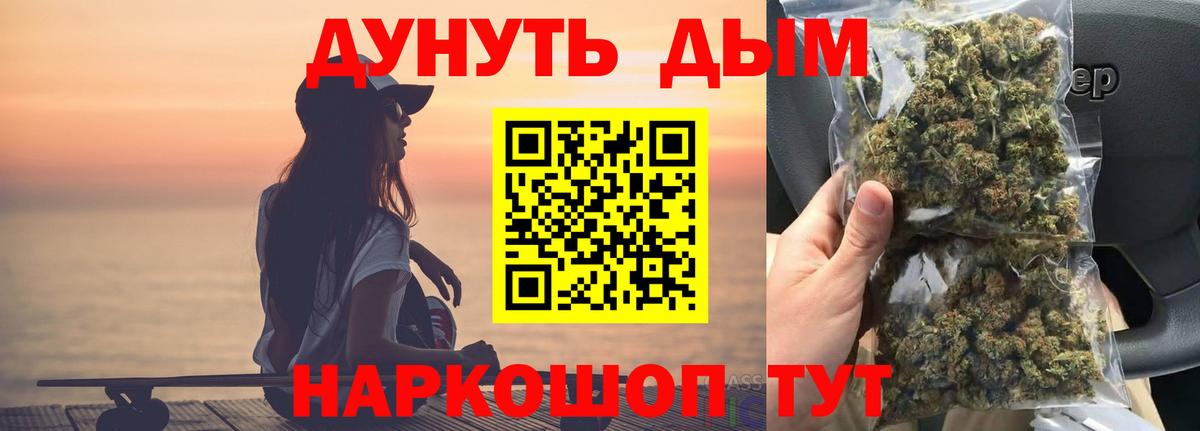 Конопля планчик Сунжа